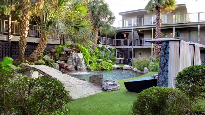 The East Dallas Collection